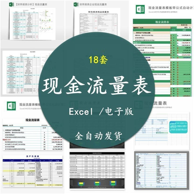 现金流量表Ecel格模板录入资
