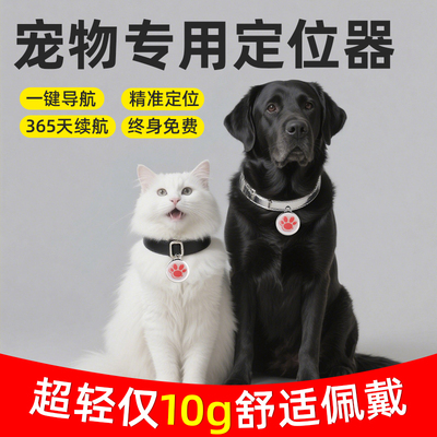 宠物定位器实时更新精准定位
