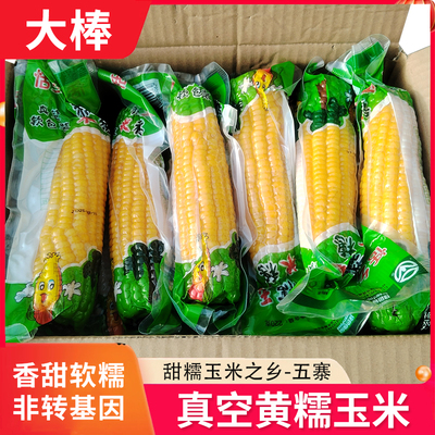 25年11月清涟黄玉米甜糯玉米五寨