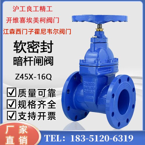 上海沪工良工精工暗杆软密封闸阀