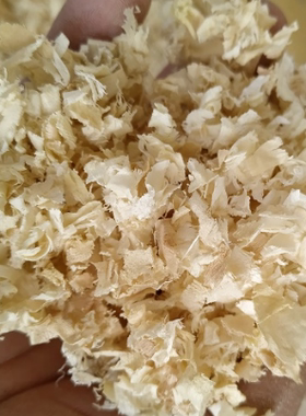 木屑龙猫荷兰猪兔子海鲜填充物