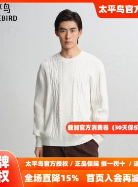 【商场同款】太平鸟男装毛衫26冬季新款绞花套头针织衫 B2EBF4506