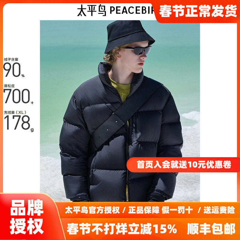 【商场同款】太平鸟男装 2025年冬季黑色鹅绒羽绒服B1ACE4447