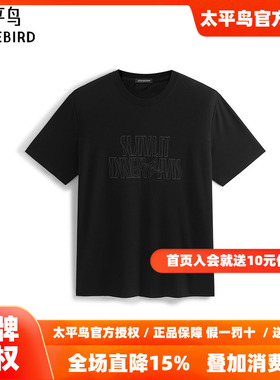 【商场同款】太平鸟男装T恤26夏季新款重磅刺绣短袖潮 B1CNF2422