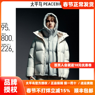 【商场同款】太平鸟男装 2025年冬季新款潮流连帽羽绒服B1ACE4446