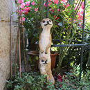 饰仿真动物狐獴猫鼬摆件 户外花园装 庭院布置摆件 饰 院子 园艺装