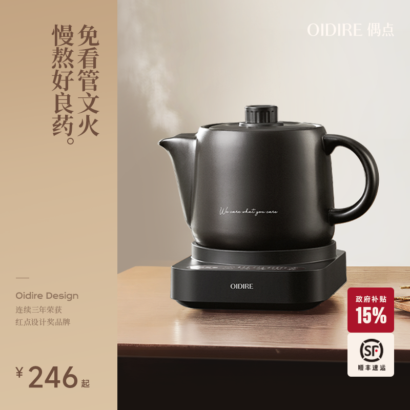 OIDIRE中药电煎壶煎药壶全自动熬药养生壶中药中医家用陶瓷煲药罐