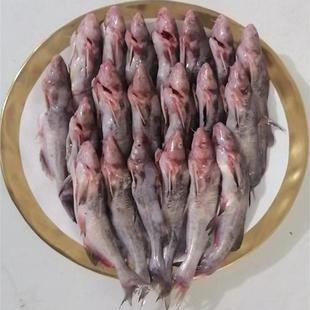 东北黑龙江特产嘎牙子鱼新鲜整条抚远活鱼速冻大鱼河鲜淡水鱼