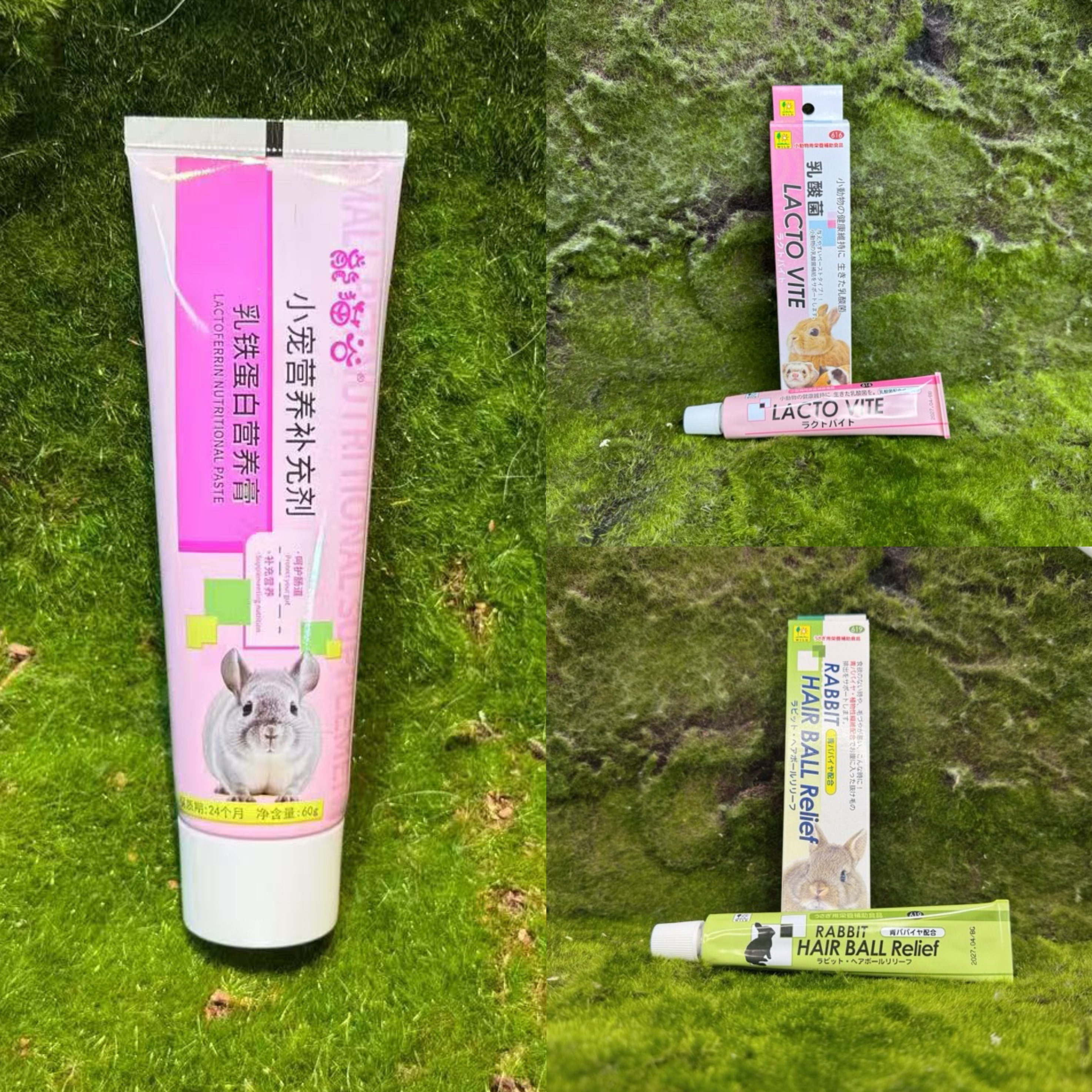 日本品高化毛膏龙猫宠物荷兰猪 豚鼠木瓜排毛膏兔子营养膏