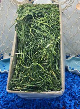 德国黑麦草净重750g营养