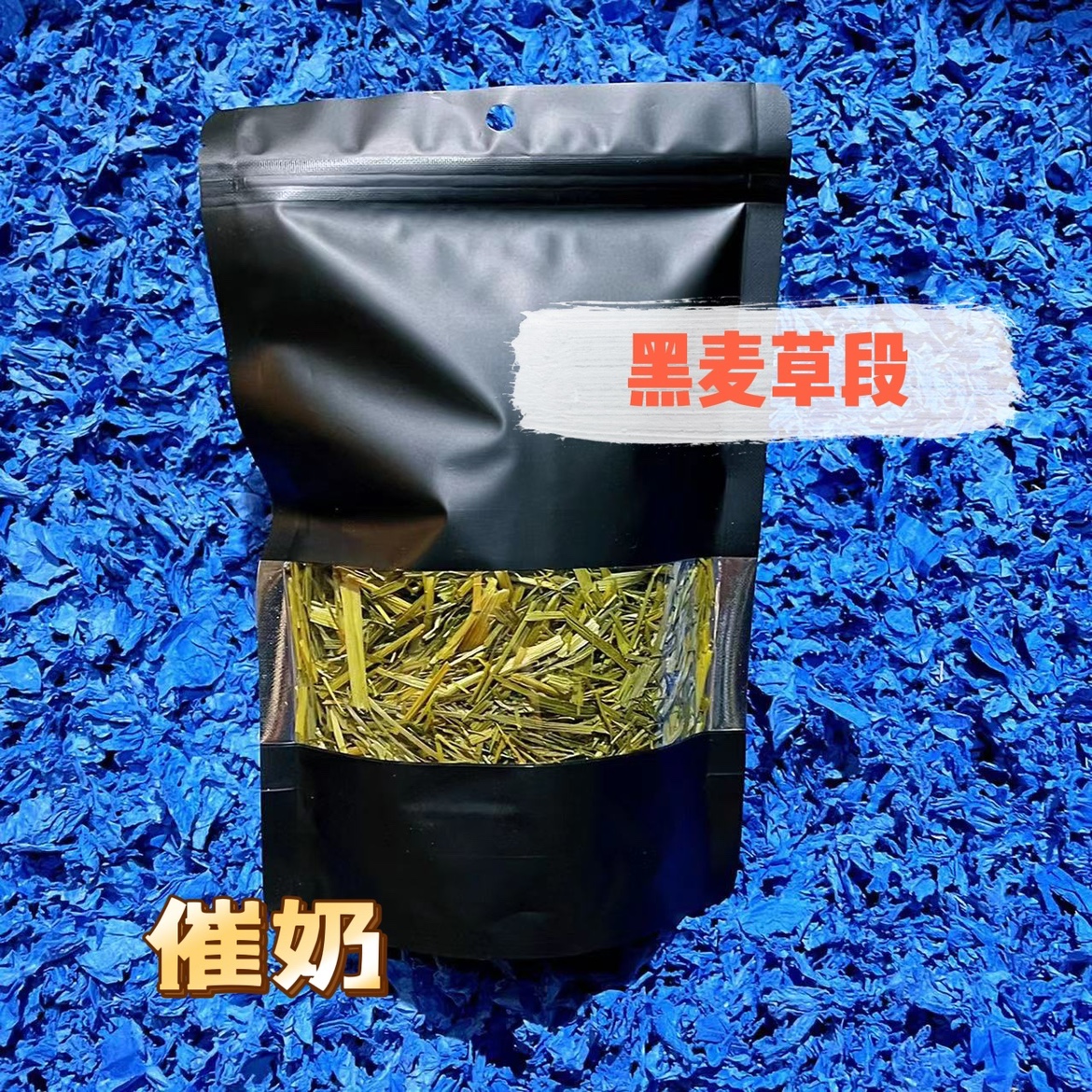 龙猫催奶黑麦草烘烤新鲜饲料