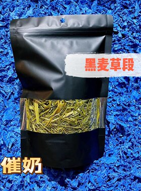 龙猫催奶黑麦草烘烤新鲜饲料