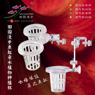 田园漫步亲水植物种植杯（水培红薯、铜钱草、绿萝、风信子等）