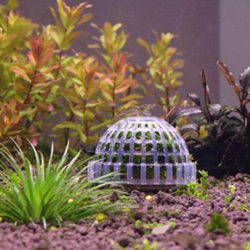 仟锐鱼缸造景水草装饰莫丝球水草种植造景鱼缸装饰含矿物质盆