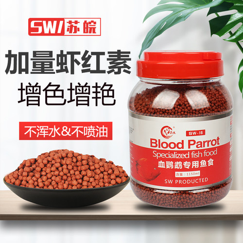 苏皖罗汉鱼增色红鹦鹉