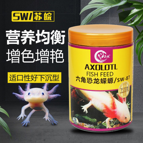 苏皖六角恐龙鱼鱼饲料下沉蝾螈