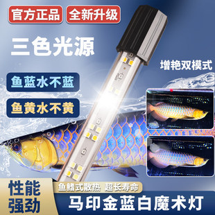led马印神灯灯金专用灯鱼缸灯防水灯双模式蓝白增艳水草灯全光谱