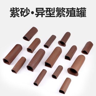 鱼之家异型鱼繁殖罐鼠鱼大帆胡子鱼黄金斑马迷宫熊猫异型虾窝产卵