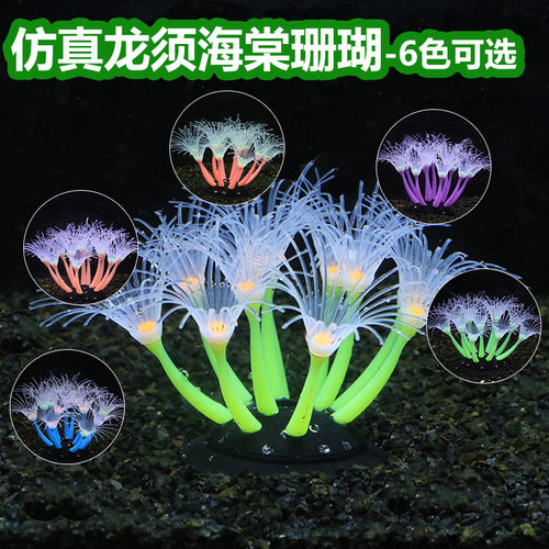 鱼缸龙须海棠造景安全无异味