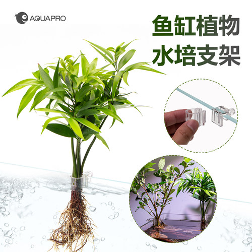 羡鱼鱼缸植物水培支架固定水族箱