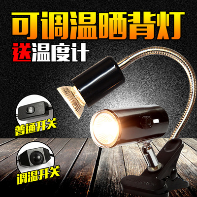 乌龟晒背灯使用方便安全稳定