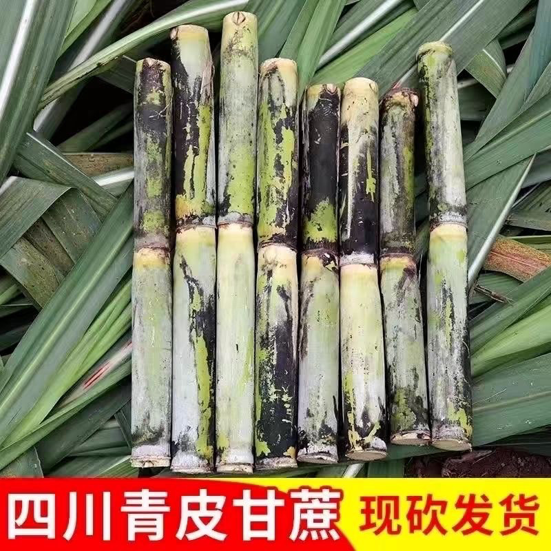 （爆甜多汁）四川青皮甘蔗现砍现发当季新鲜水果孕妇红糖农家种植,水产肉类/新鲜蔬果/熟食,甘蔗,淘宝优惠券,粉丝福利购,淘宝优惠卷