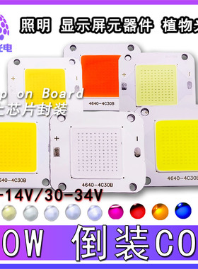 4640倒装COB集成50W灯珠12V全光谱白光粉光 红光绿光蓝光厂家LED