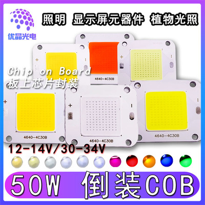 免驱动COB倒装LED灯珠50W