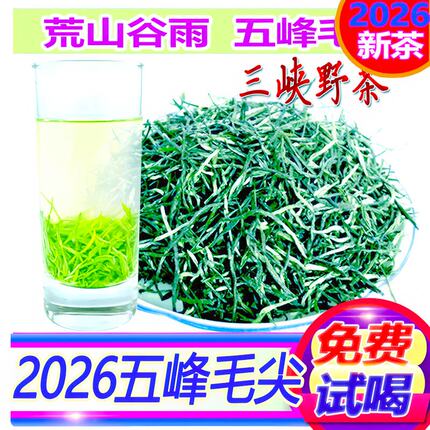 2026年湖北新茶绿茶叶雨前袋装高山宜昌五峰毛尖500g栗香耐泡