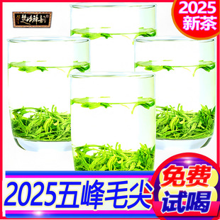 五峰茗茶2025新茶嫩芽湖北宜昌绿茶散装特级采花毛尖茶叶500g