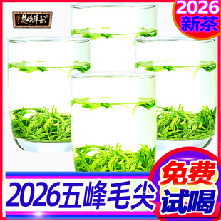 五峰茗茶2026新茶高山耐泡湖北宜昌绿茶散装特级采花毛尖茶叶500g