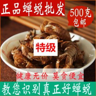 包邮 特级正宗同仁堂原料蝉蜕500g克 金蝉衣中药材正品 知了皮蝉壳爬