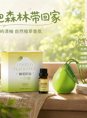 柚子扩香石清新空气创意石膏香挂