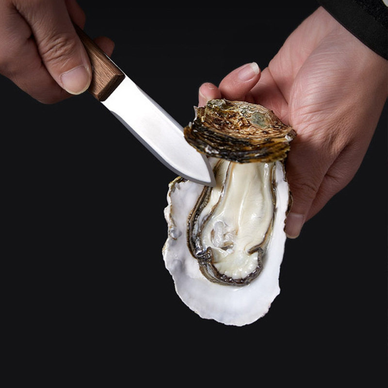 实木手柄加厚款生蚝刀开蚝神器