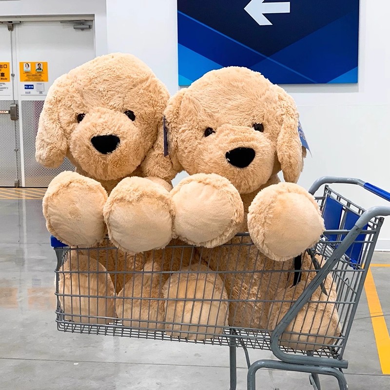 山姆狗狗公仔毛绒玩具金毛大号大熊可爱玩偶睡觉抱枕巨型女生娃娃