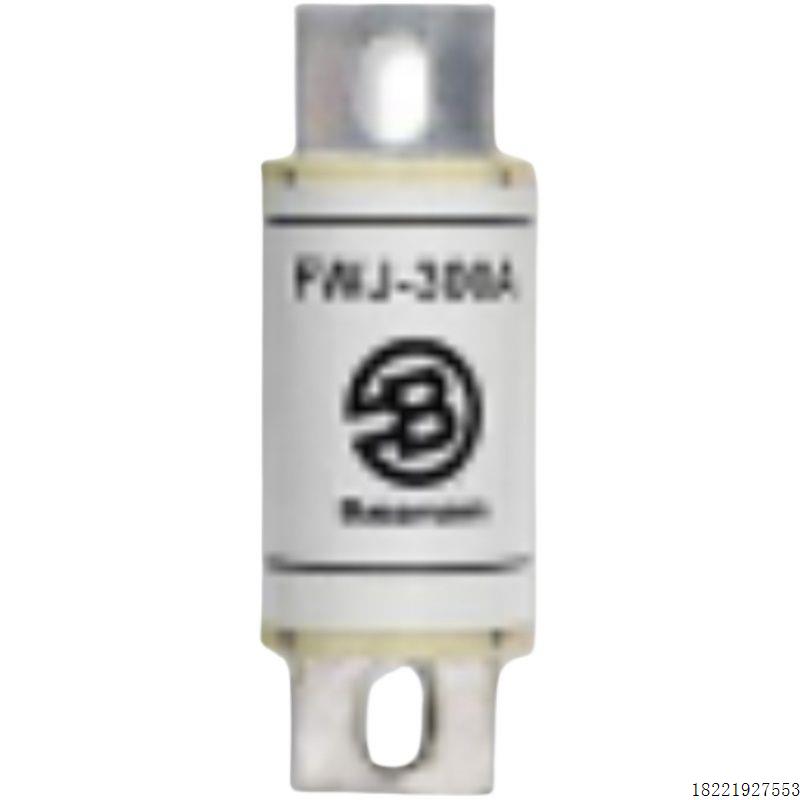 议价巴斯曼熔断器 170M6883/全新原装170M6882议价