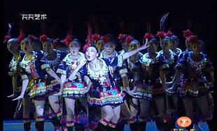 锦鸡炫美舞蹈服装第九届全国舞蹈比赛少数民族女装苗族舞台表演服