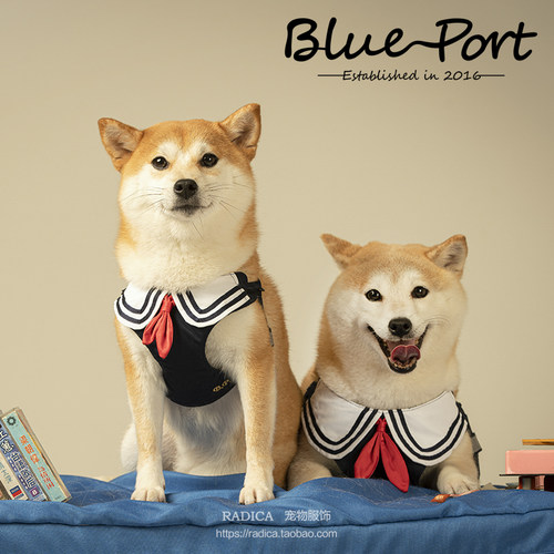 blueport中小型犬猫胸背牵引绳