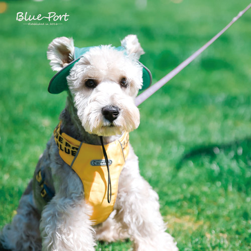 blueport背心式胸背反光