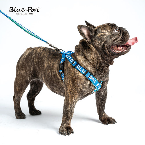 Blueport狗狗胸背可调节轻便