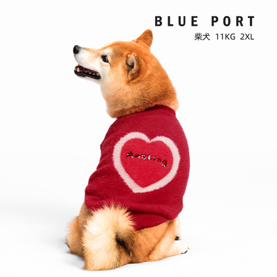 blueport宠物新年贺岁款衣服毛衣
