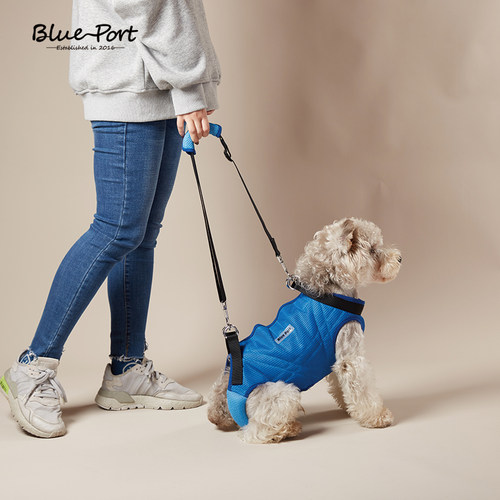 Blueport介护包辅助出行