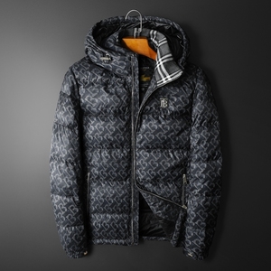 2024年秋冬男式羽绒服白鸭绒90绒D208-Y0690P320平拍,男装羽绒服,电商D208