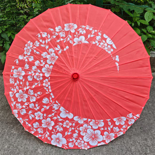 关关雎鸠跳舞伞江南伞走秀雨涧春行图舞蹈工艺伞古典故乡情道具伞