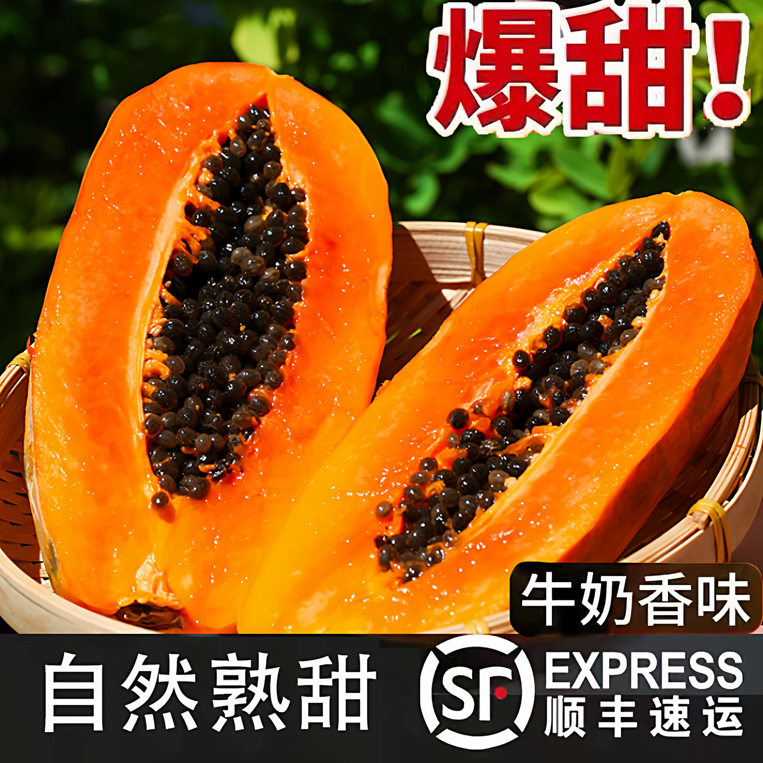 海南冰糖红心木瓜现摘新鲜顺丰水果青皮冰糖心牛奶树上熟下木瓜