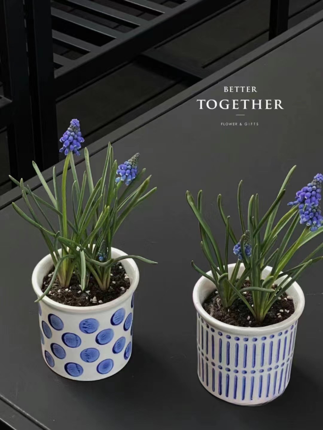 北欧风格陶瓷花盆 陶土花盆粗陶花盆多肉花盆 绿植盆多肉花盆,家居饰品,花盆,淘宝优惠券,粉丝福利购,淘宝优惠卷