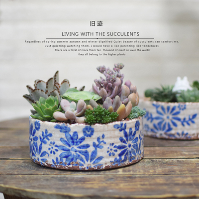 蓝雏菊陶瓷微景观植物老桩多肉花盆日式冰裂肌理冰片纹手工粗陶盆