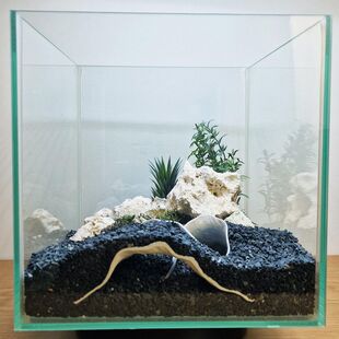 小鱼躲避屋虾屋鱼缸造景摆件水底洞穴水下宫殿小鱼庇护所鱼虾繁殖