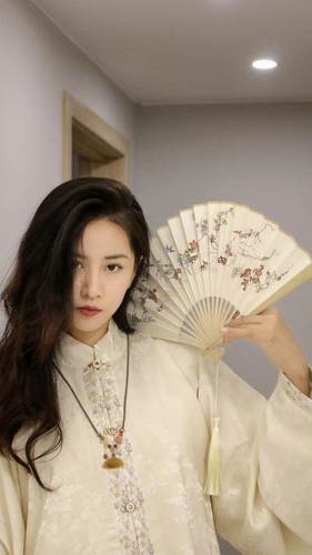 原创孔府花鸟图案扇子宣纸