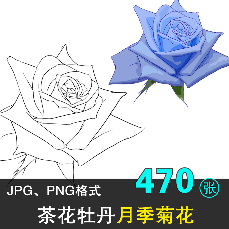 白描花卉植物高清手绘线稿工笔画国画SAI上色彩稿插画临摹PNG素材